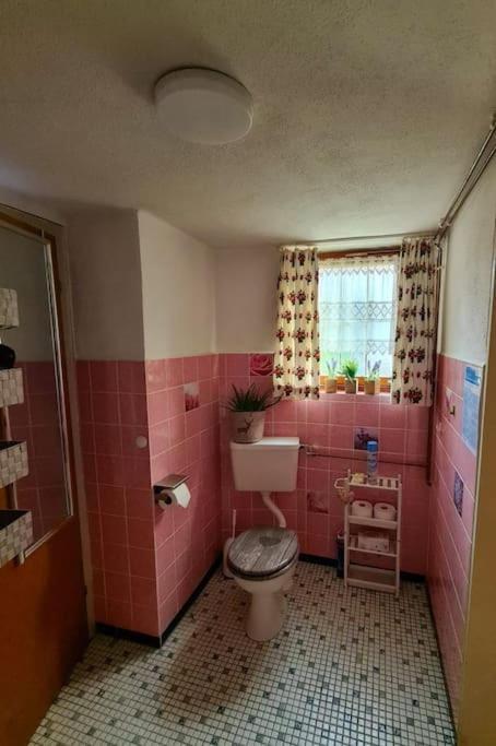 Idyllische Kleine Ferienwohnung Im Schwarzwald Friedenweiler Luaran gambar