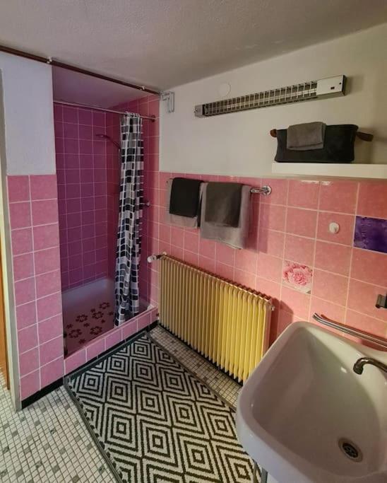 Idyllische Kleine Ferienwohnung Im Schwarzwald Friedenweiler Luaran gambar